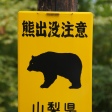 Vorsicht Bär
